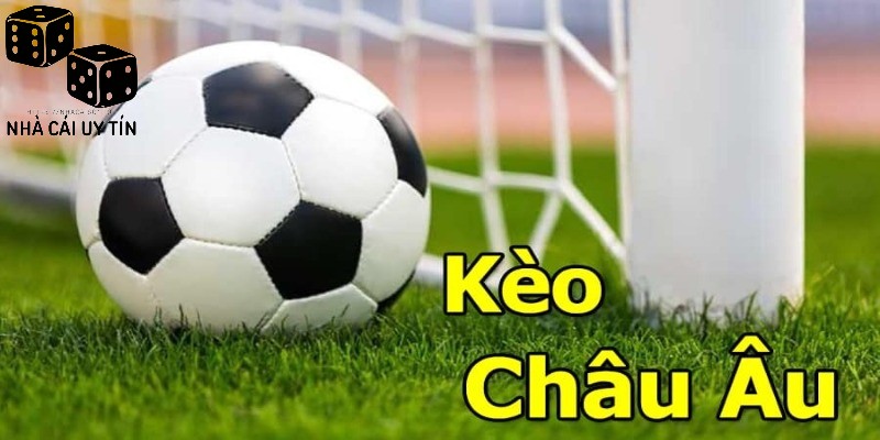 Nghiên cứu kỹ các thông tin kèo cược